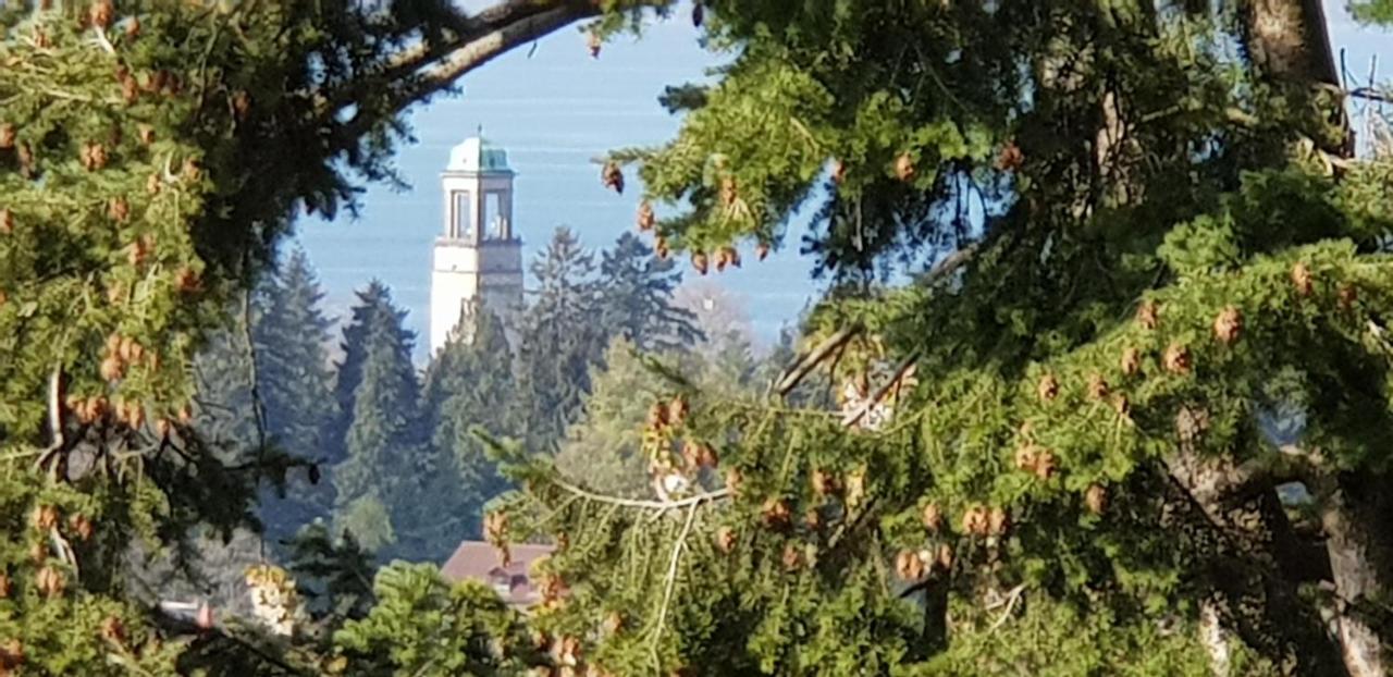 Apartmán Alpenblick 3 Bodolz Exteriér fotografie
