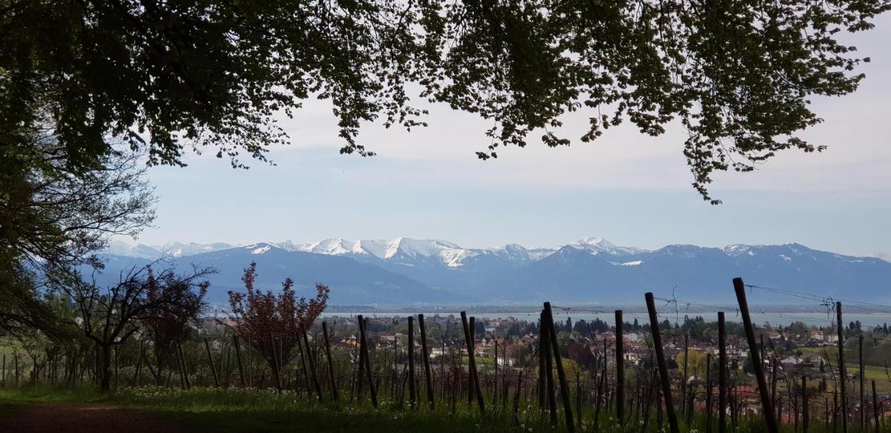 Apartmán Alpenblick 3 Bodolz Exteriér fotografie