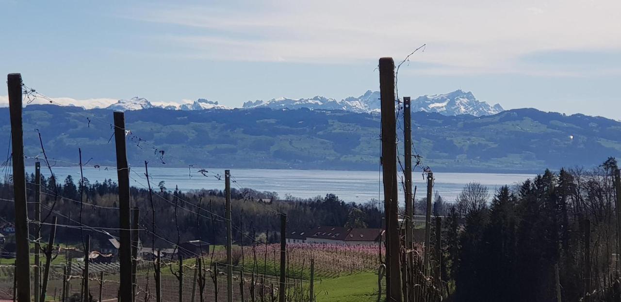 Apartmán Alpenblick 3 Bodolz Exteriér fotografie